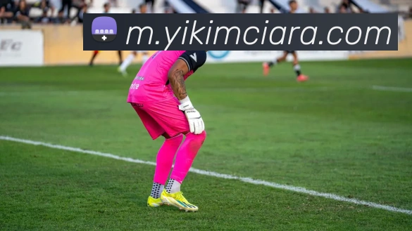 App界面